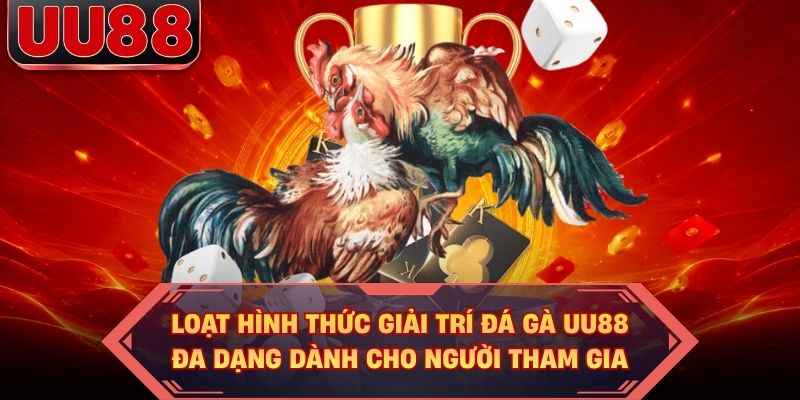 Loạt hình thức giải trí đá gà UU88 đa dạng dành cho người tham gia
